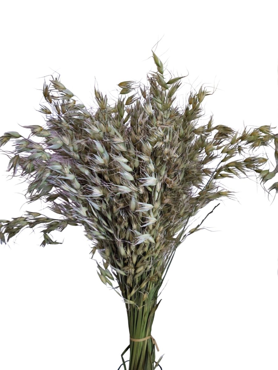 Sušený oves hluchý - Wild Oats - Přírodní - 200 g