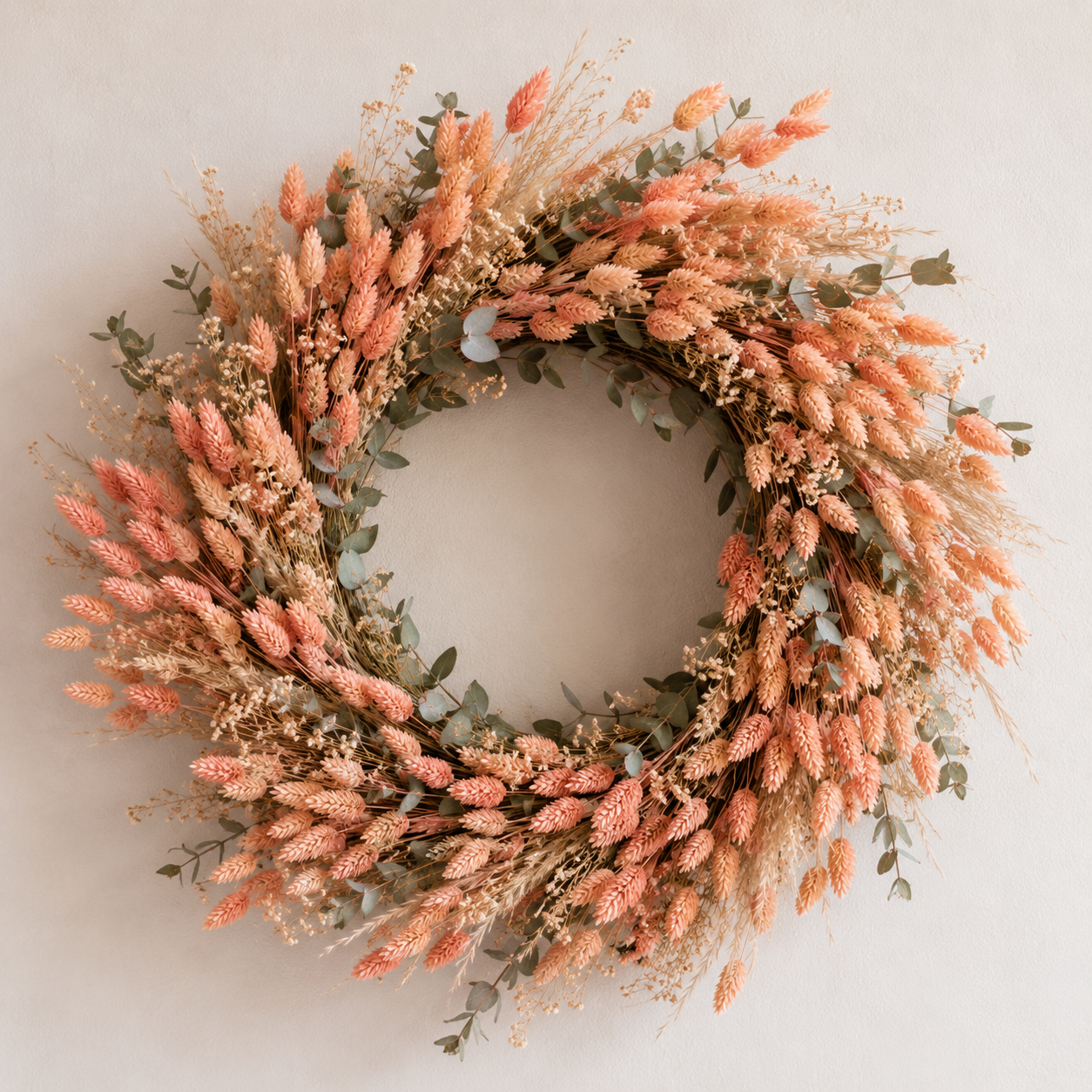 Sušená chrastice rákosovitá - Phalaris - 80 cm - Broskvová