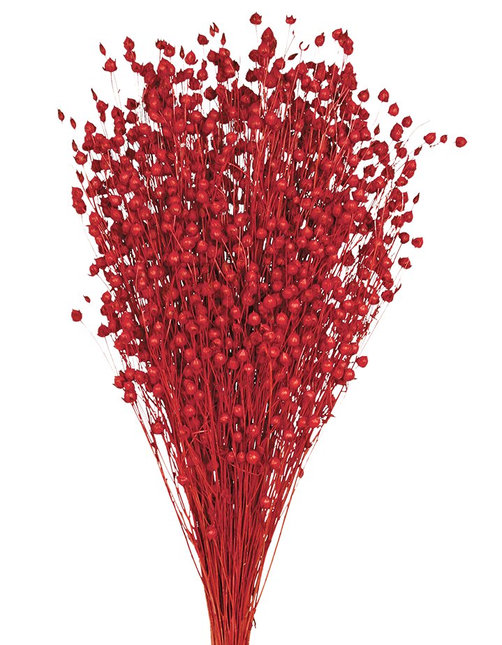 Sušený len - Linum - Červená - 110 g