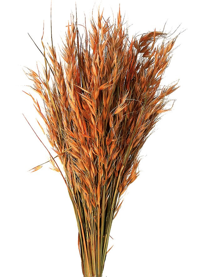 Sušený oves hluchý - Wild Oats - Broskvová - 200 g