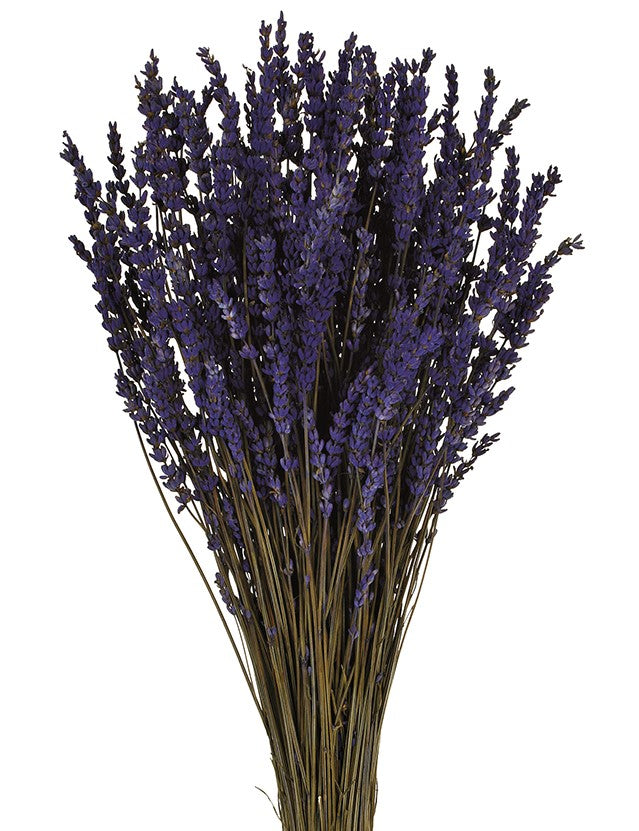 Stabilizovaná levandule - Lavandula - Tmavě fialová 150 gr