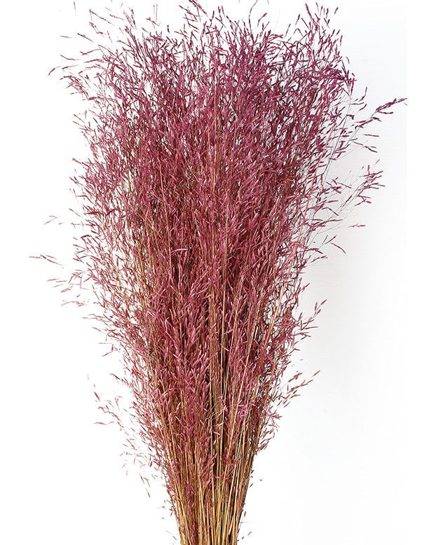 Sušená tráva Munni - Starorůžová - 60 cm