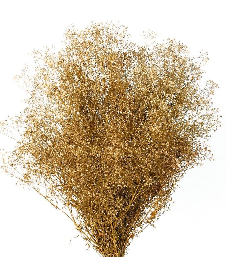Stabilizované květiny šater - Gypsophila mini - Přírodní - 100 g