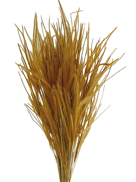 Sušená tráva Ouro - Přírodní - 60 cm