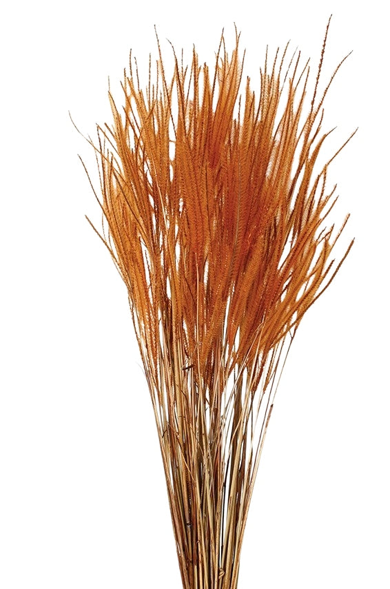 Sušená tráva Ouro - Broskvová - 60 cm
