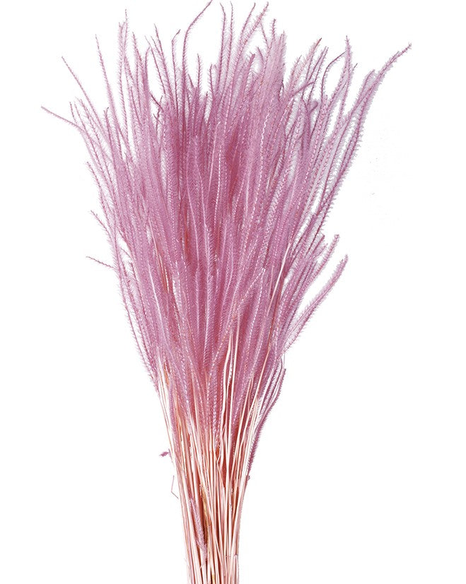 Sušená tráva Ouro - Šeříková - 60 cm