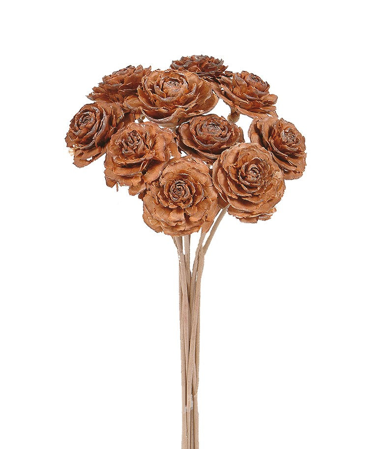 Sušená cedrová růže - Cedar rose - Přírodní - 10 ks