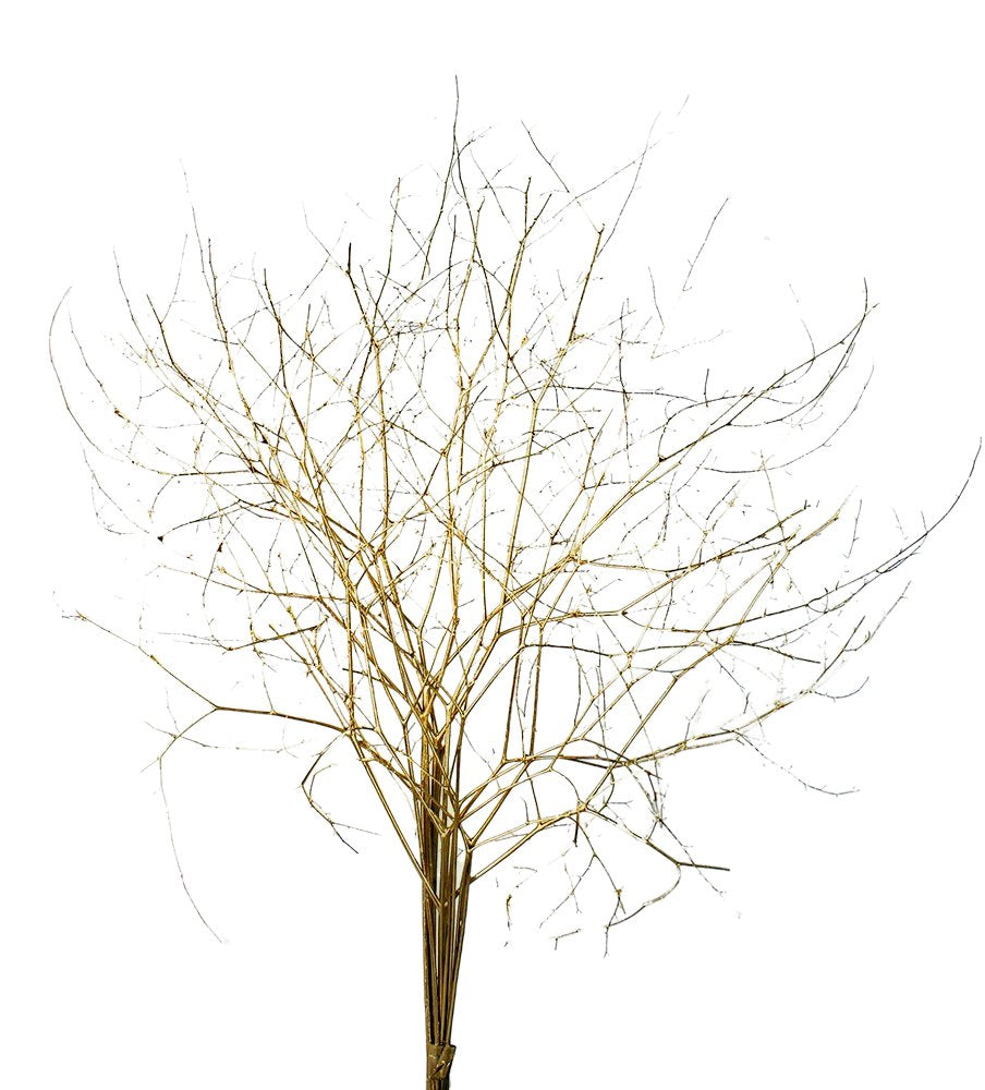 Sušené větve stromu - Zlatá - 40 - 50 cm