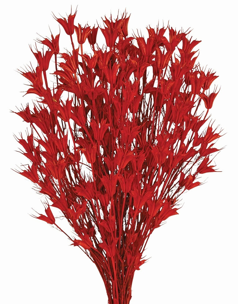 Sušené květiny černucha východní - Nigella orientalis - Tmavě červená - 100 g