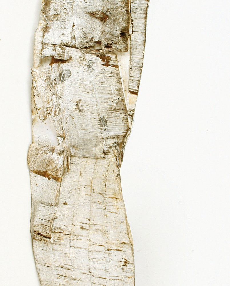 Role březové kůry - Přírodní - 5 cm x 90 cm