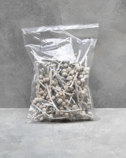 Sušené větvičky se žaludy - Acorn - Bílá