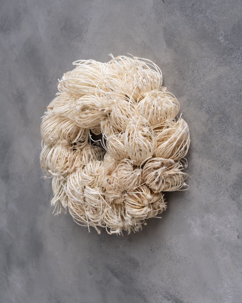 Věnec z morače většího - Ammi majus - bělený - Ø 28 cm