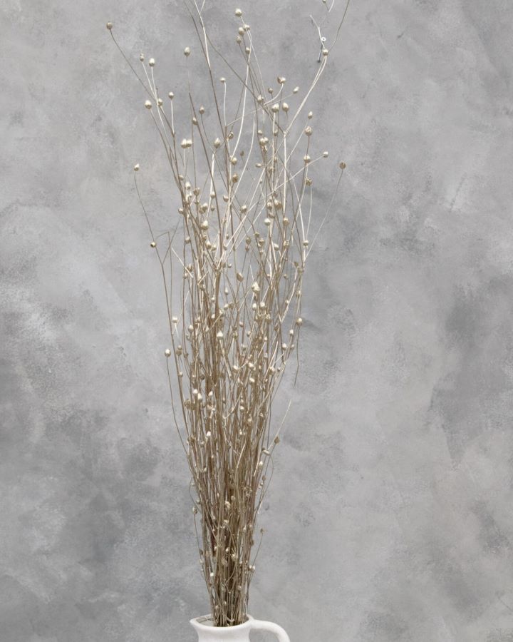 Sušené chrpy - Centaurea - Platinová 110 cm