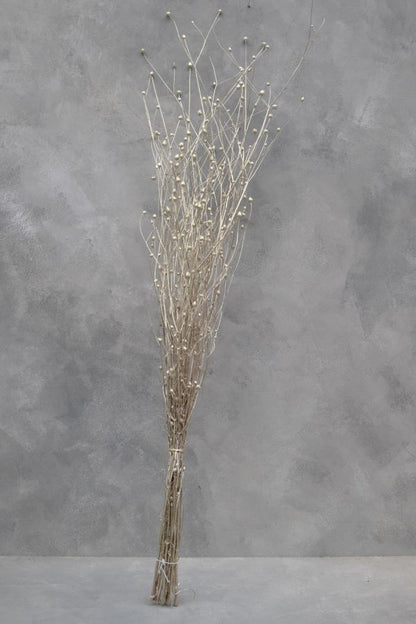 Sušené chrpy - Centaurea - Platinová 110 cm