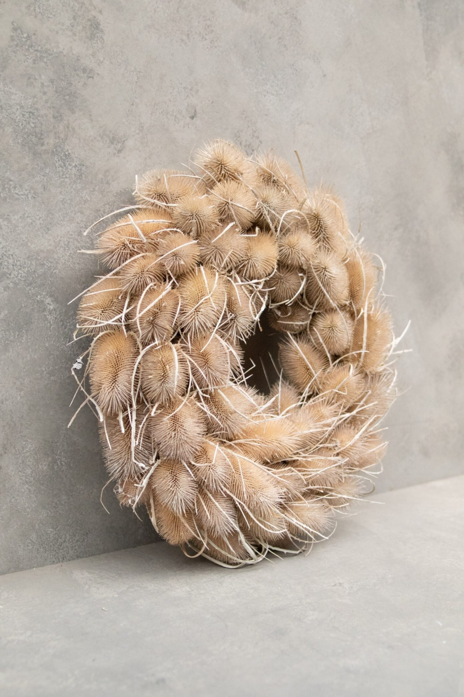 Věnec z bodláku - Dipsacus - bělený - Ø 38 cm