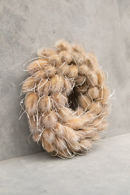 Věnec z bodláku - Dipsacus - bělený - Ø 38 cm