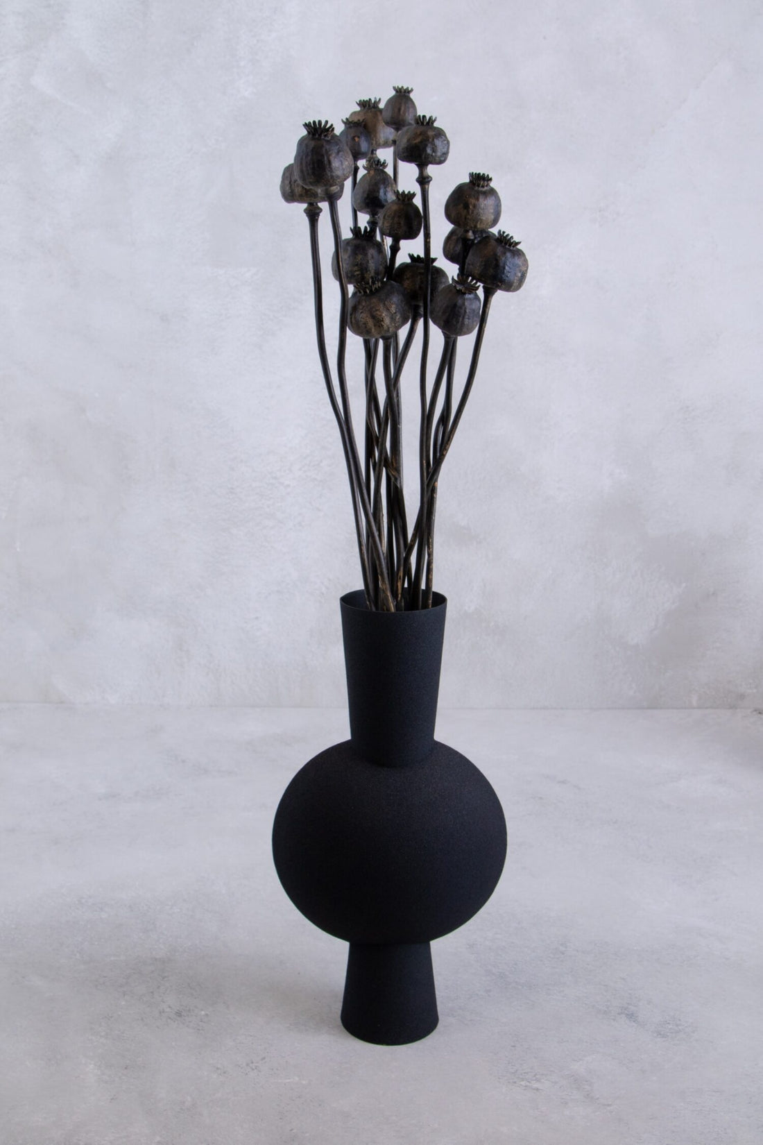 Sušené makovice - Papaver - černý