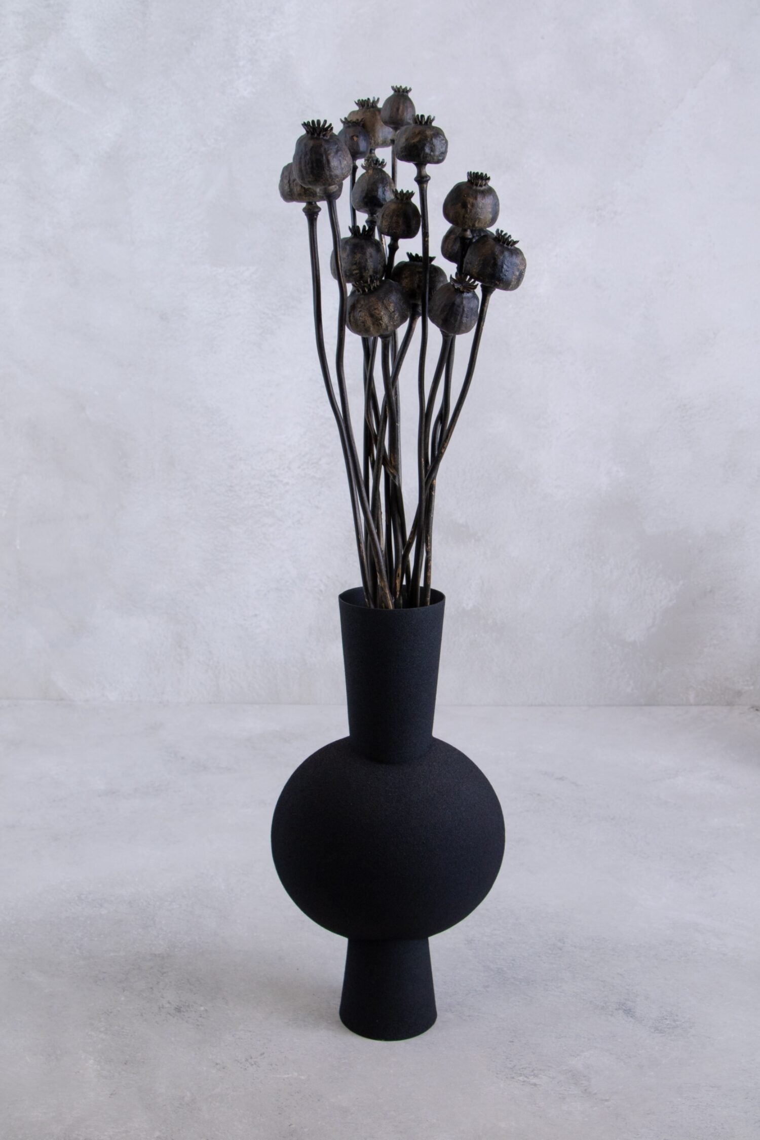 Sušené makovice - Papaver - černý