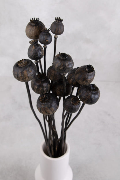 Sušené makovice - Papaver - černý