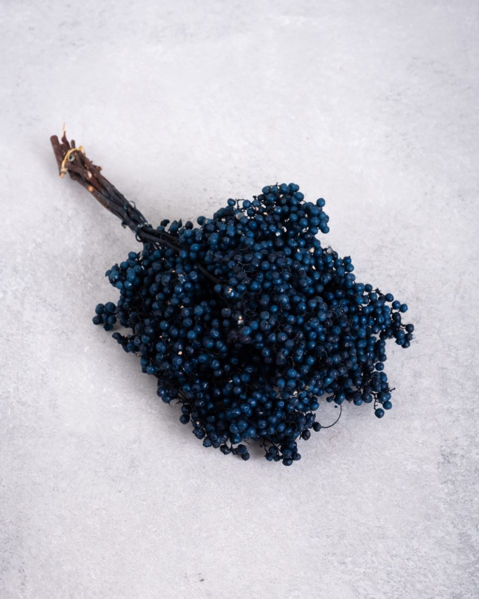 Sušené větvičky pepřovníku tasmánského - Pepperberry - Modrá