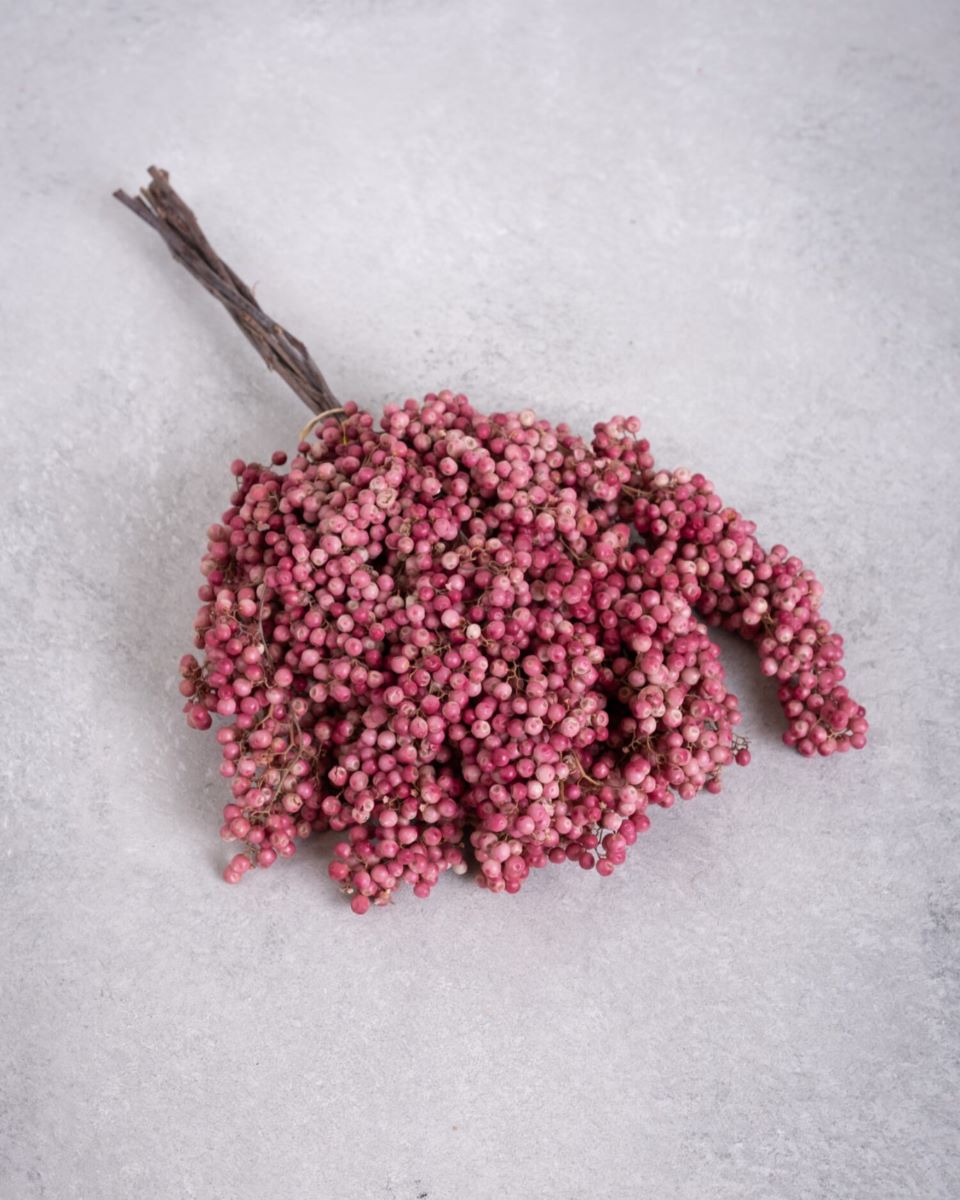 Sušené větvičky pepřovníku tasmánského - Pepperberry - přírodní
