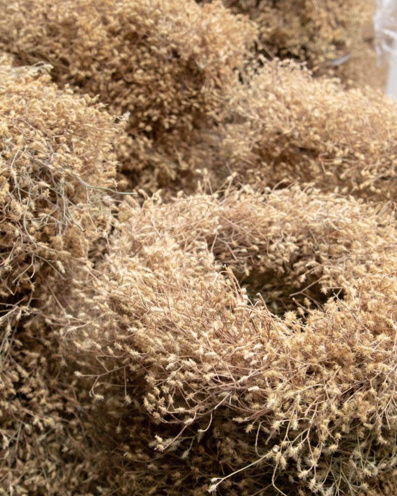 Věnec z bodláčků Thistle - Ø 30 cm