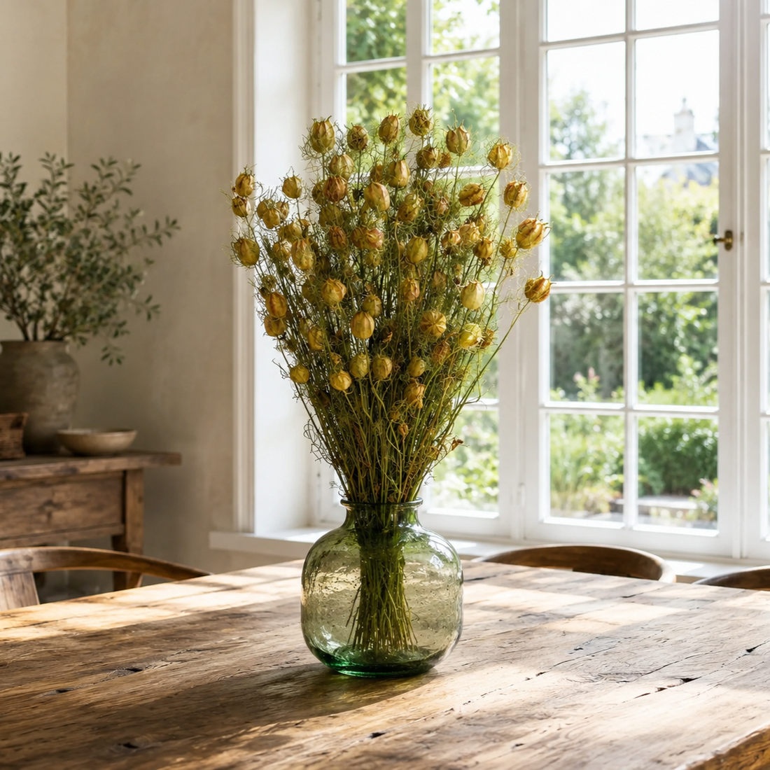 Sušená černucha -Nigella - Přírodní - 50 cm